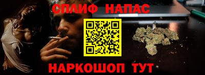 ешки Майкоп