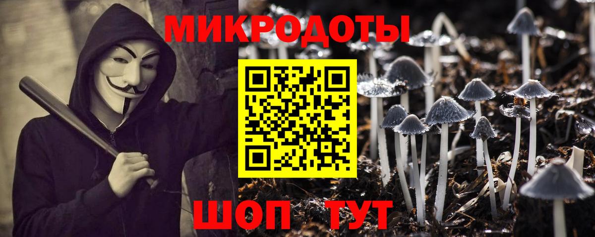 Тара  купить закладку  Вход с VPN  Псилоцибиновые грибы прущие грибы 