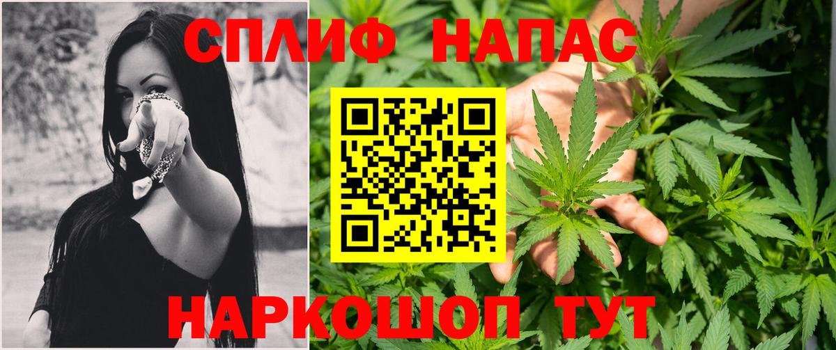 Марихуана план  Конопля Ganja  Тара 